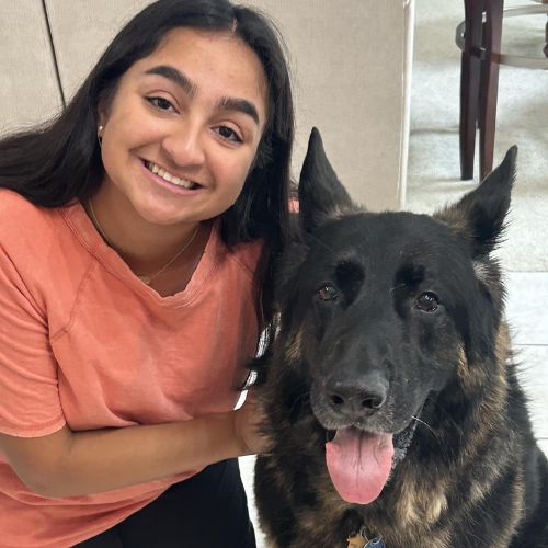 A girl and a german shepherd