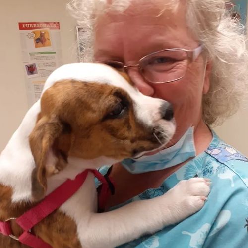 Aaron Animal Clinic staff with a puppy
