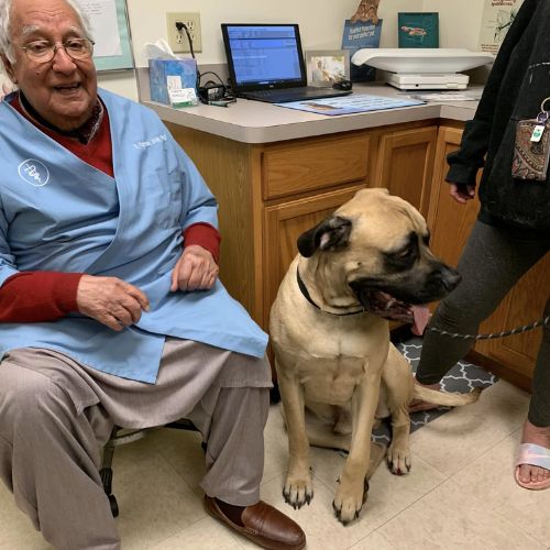 Dr. Rahman and a dog in the veterinary clinic
