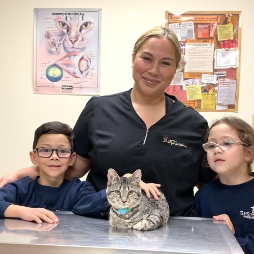Woman with children and a cat